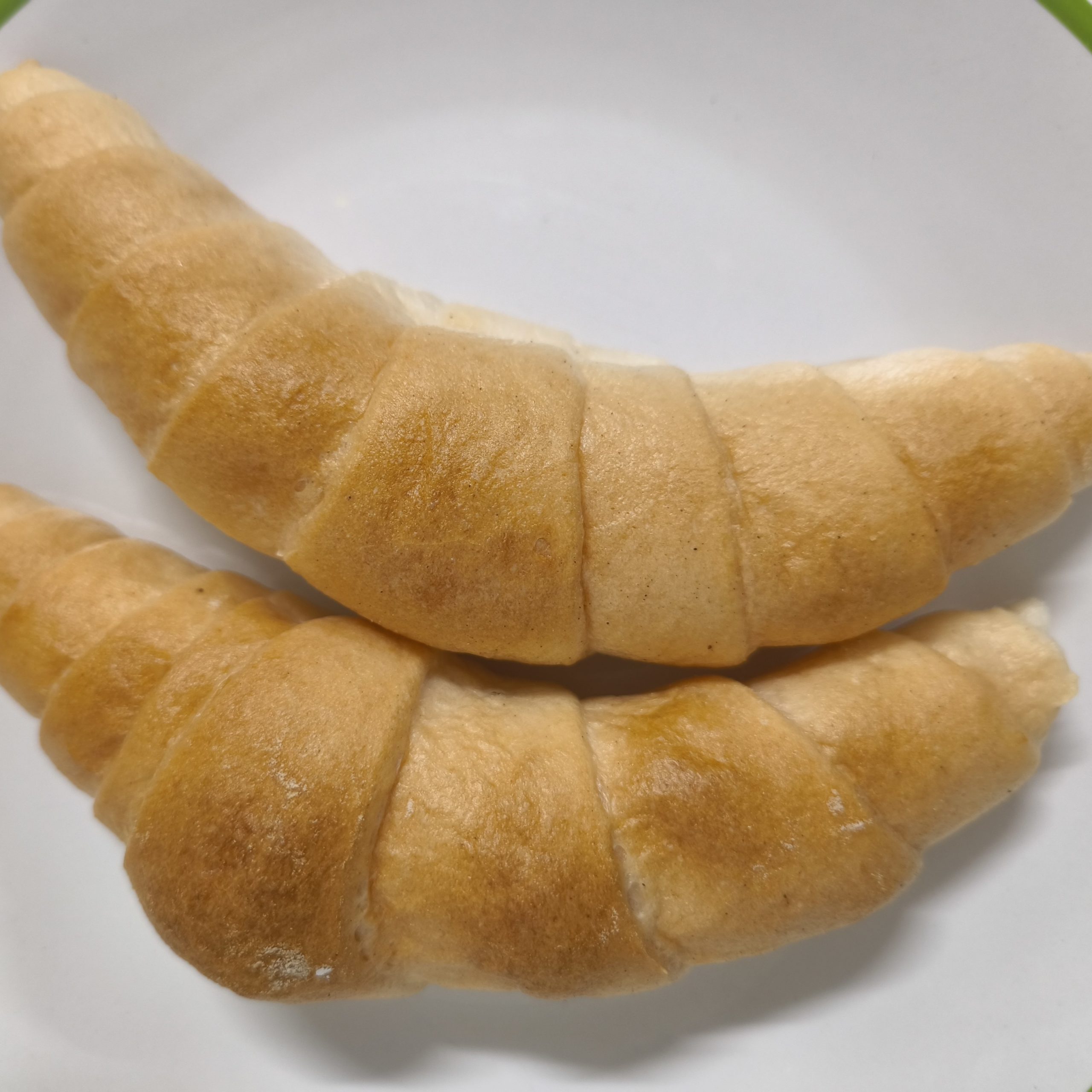 pizzáscsiga gm